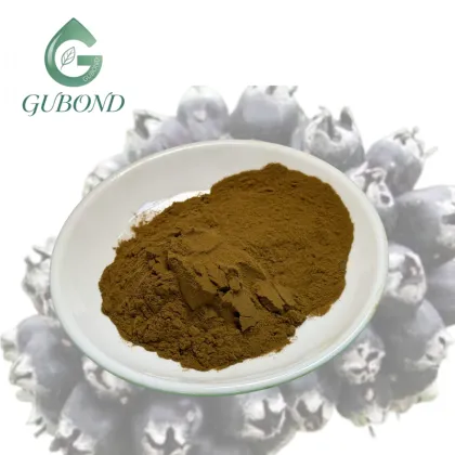 Siberian Ginseng Extract Powder for Nutritional Supplements