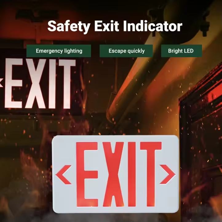 exit light (13)
