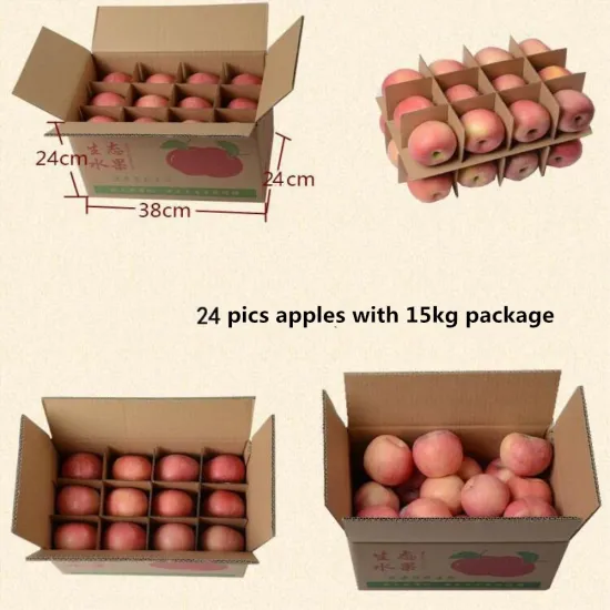 Custom Corrugated Fruit Carton Box