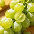 باقة عنب مسقط العضوية اللامعة
