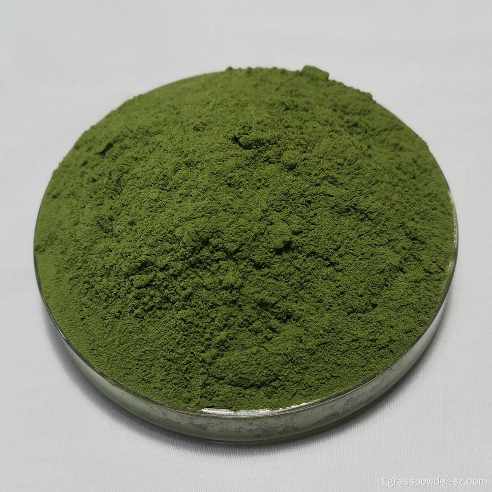 Foglie di grano organiche in polvere