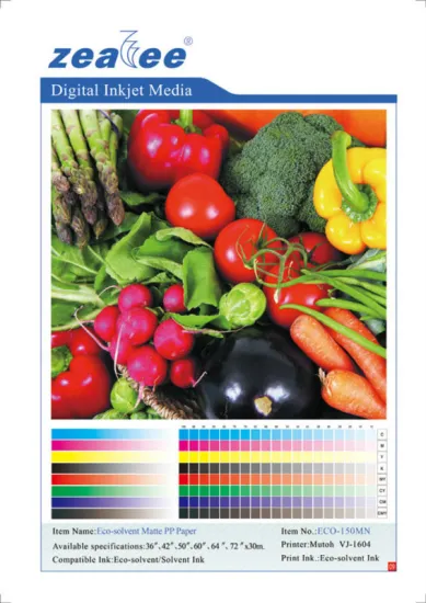 Eco-solvent PET Film/inkjet media/PP paper matte/inkjet advertisement