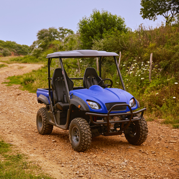 Wholesale 72V 4WD Electric UTVs for Sale