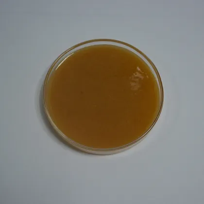 NPK 19 19 19 Water Soluble Fertilizer