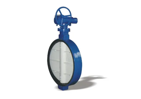 Worm wafer soft seal butterfly valve