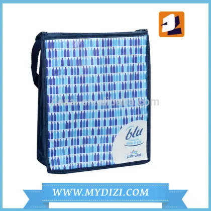 lunch bag,Fashion Cooler Bags, Insulated Cooler bags