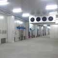 CE Approved Cold Storage Room