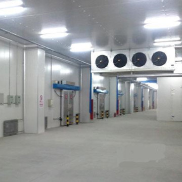 High Production Food And Meat Blast Freezer Room