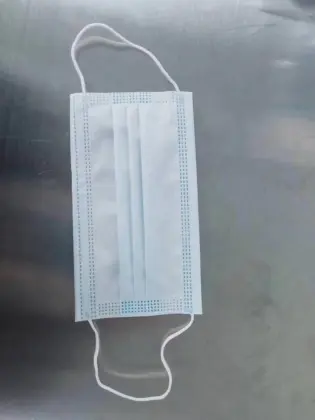 Professional Adult Medical Protective Face Mask Type II
