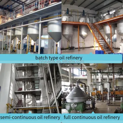 15 Ton Oil Refinery Plant for Various Edible Oils in China