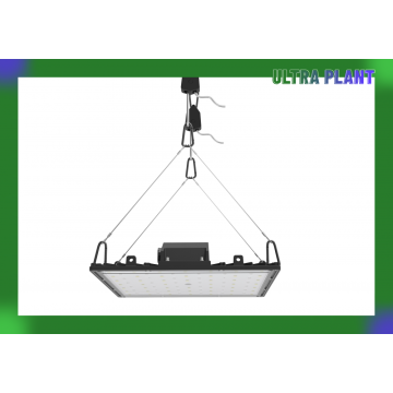 Spektrum Penuh untuk Tumbuhan Mekar Tumbuh Lampu