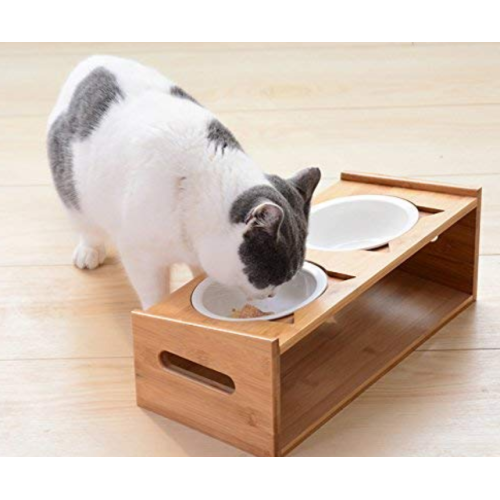 Pet Bowl với nền tảng cho ăn