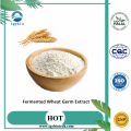 Wheat Germ Extract Wheat Germ Extract / Fermented Wheat Germ Extract Manufactory