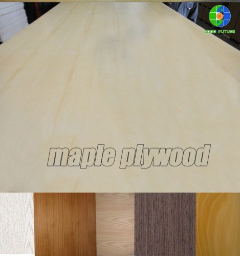 cheap 9mm 12mm 15mm 18mm maple plywood for sale