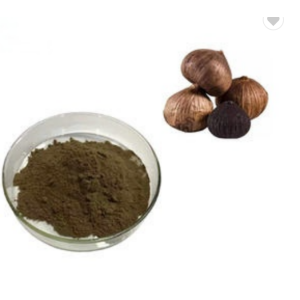 Organic Fermented Black Garlic Extract Powder