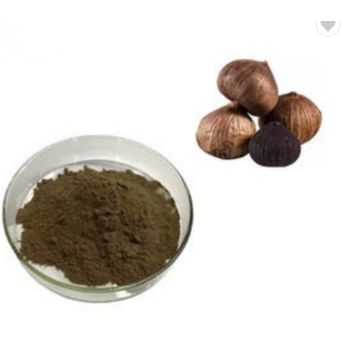 Organic Fermented Black Garlic Extract Powder