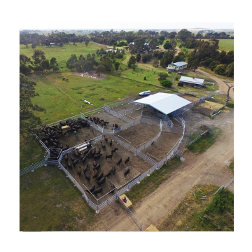 Hot Selling Horse and Cattle Yard Design Panels