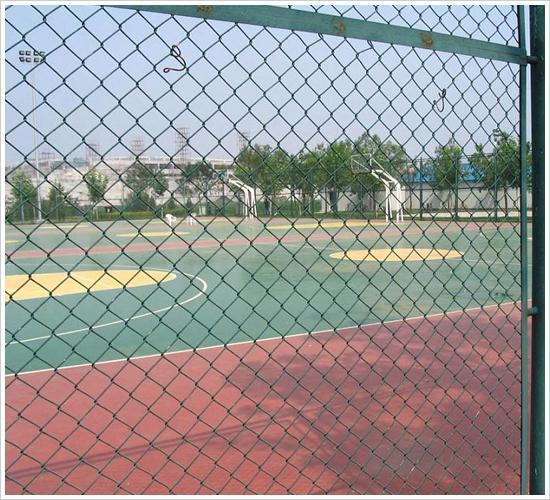 high - quality and low - price polyester painting steel tube Garden security fence