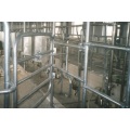 Fish bone milking parlor for cow