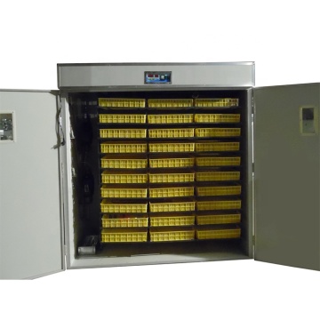 MYI-5280 Fully Automatic Chicken Egg Incubator: Ensuring High Hatching Success with Good Quality Eggs