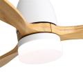 New items pure copper motor ceiling fan light