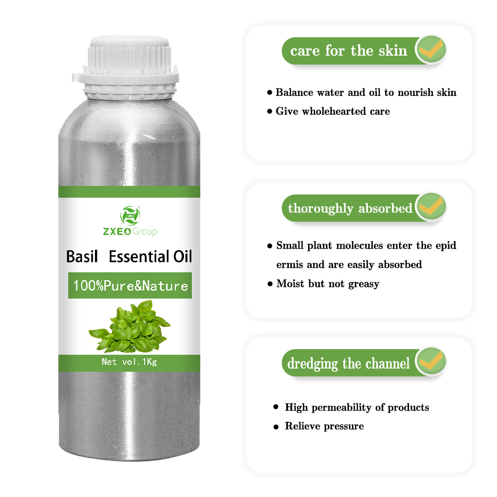 Pure Natural Plant Extract Essential Oil 100% Pure Natural High Quality Basil Essential Oil for Healthy Skin Nourished Hair