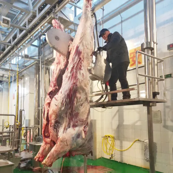 Cattle slaguhter machine platform