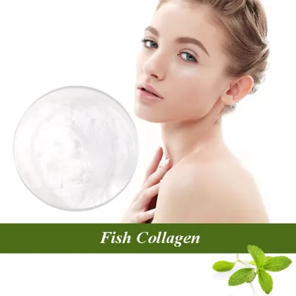 Collagen powder bulk wholesale