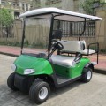 2 Seater Gas Golf Cart