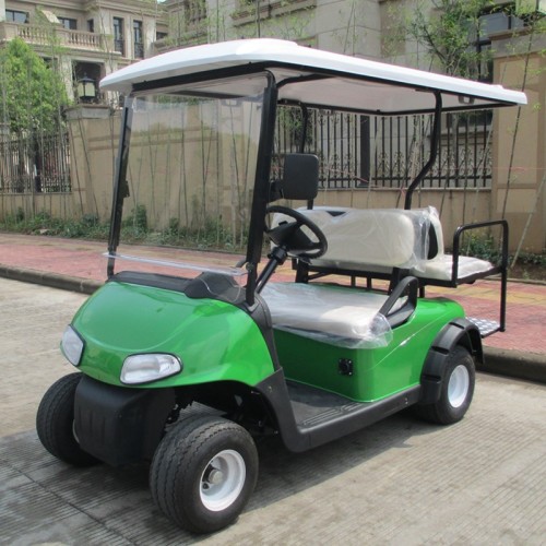 Carrinhos de golfe mini elétricos de 2 lugares para comunidade