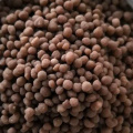 Engrais Dap Diammonium Phosphate / DAP 18-46-0