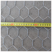 Galvanized Iron Wire Material hexagonal mesh
