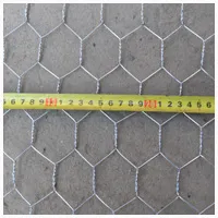 Galvanized Iron Wire Material hexagonal mesh