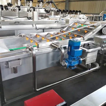 Industrial Machinery for Fresh Vegetable, Fruit Cleaning, Drying & Processing: Including Dry Dates Washing Machines - For Sale