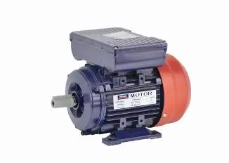 Good Quality 1400W Electric Motor (MT001)