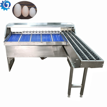 Máquina de clasificación de huevo de pollo automática y clasificación de peso