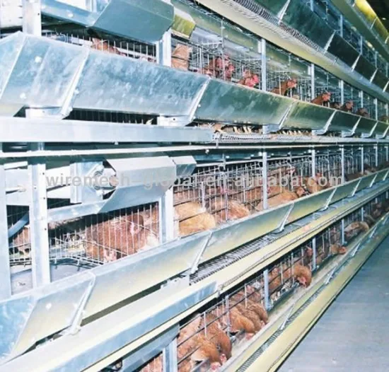 Poultry Dorking Cages