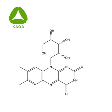 Food Grade 98% Riboflavin / Vitamin B2 Powder