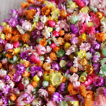 Intodiy natürliche kleine Sternblume DIY -Kranz für die Hochzeitsdekoration