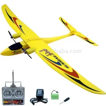 Flying Swallow R/C aerodone