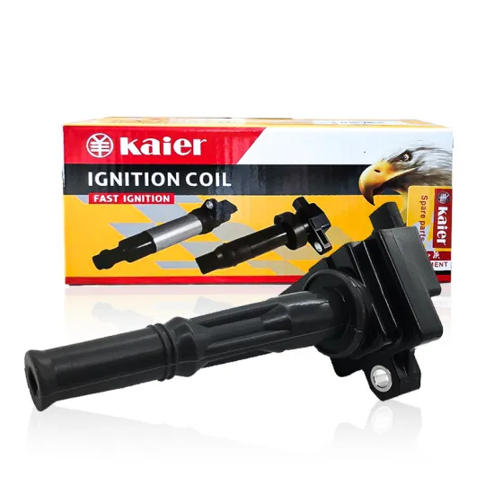 OEM 90919-02213 Ignition Coil for Toyota Auto Parts
