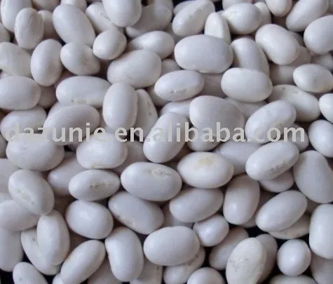 Japanese Type White Kidney Beans