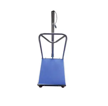 Platform Digital Electronic Weighing Scale with customizable