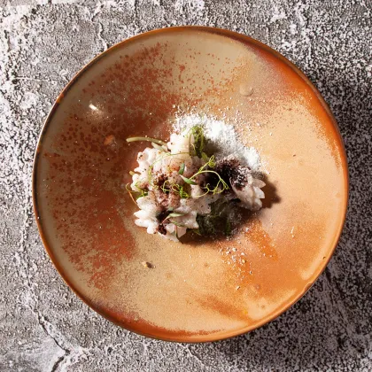 Luxury Reactive Amber Glaze Porcelain Dinnerware for Fine Dining