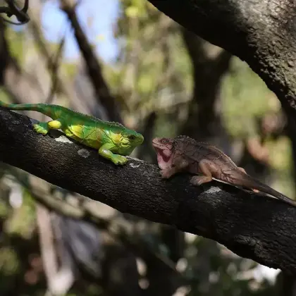 Simulated Resin Lizard Ornament