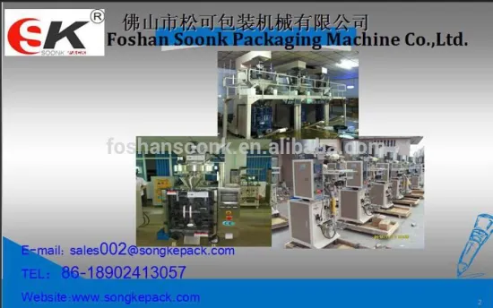 automatic pack machine SK Granule Snacks Seeds/Grain/ rice /food horizontal pillow food packing machine SK-220DT(Upgrade )