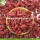 Top Grade Nutrition Dried Bio Wolfberries