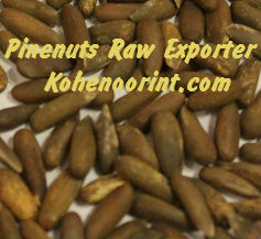 Pine Nuts Raw