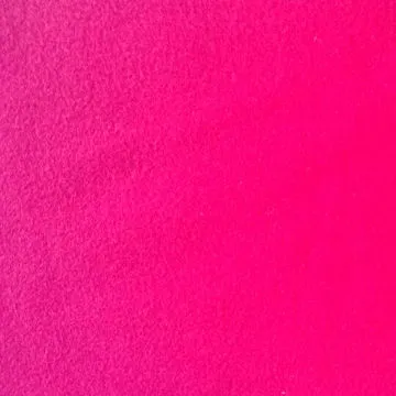 Polyester and spandex brushed fabric