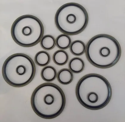 Rubber Bonded Seal Gaskets